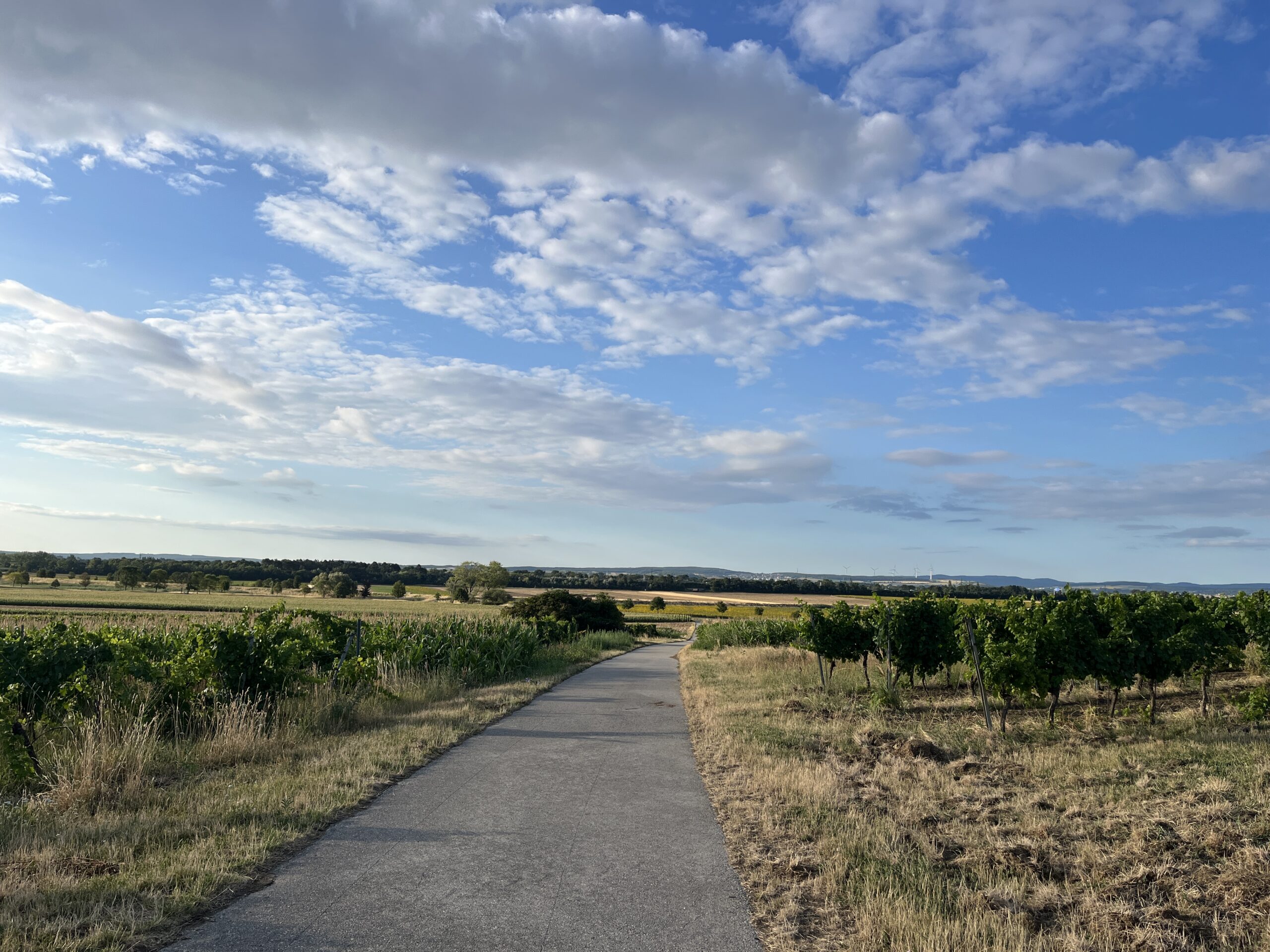 Radweg